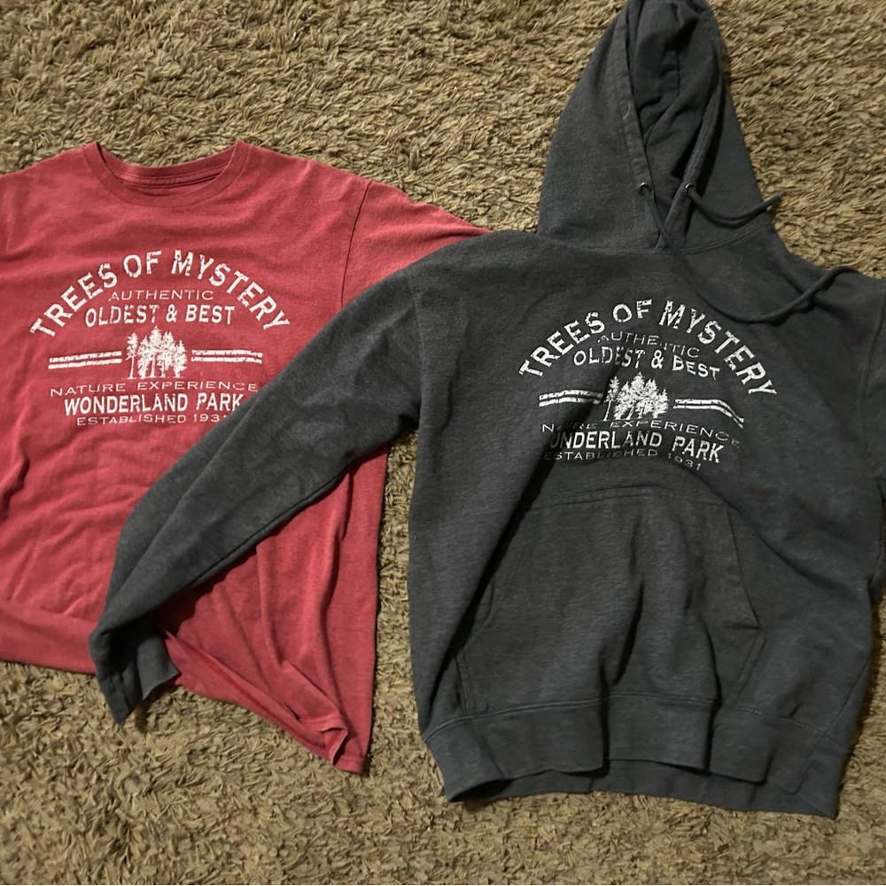 Kids Graphic Tees and Hoodie Set